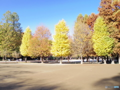 中浦和　別所沼公園６