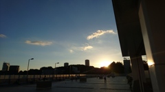上野の夕日