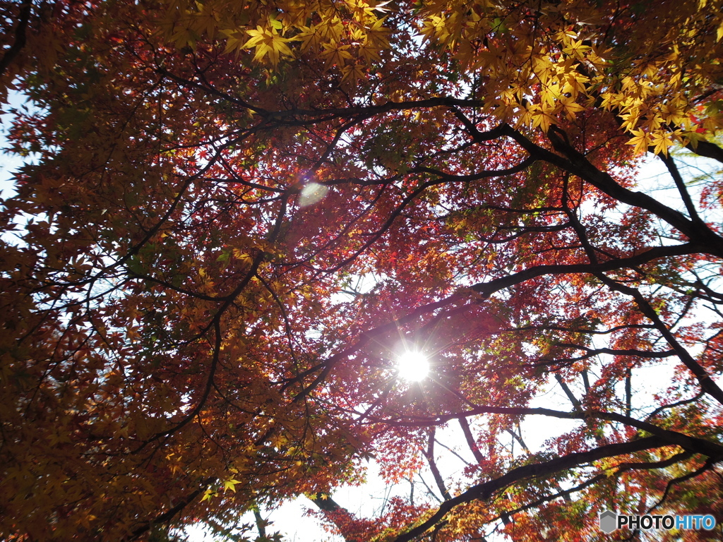 中浦和　別所沼公園８