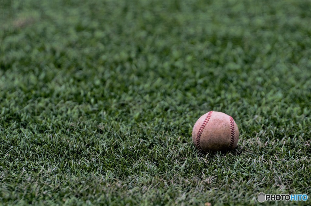 高校野球大好き