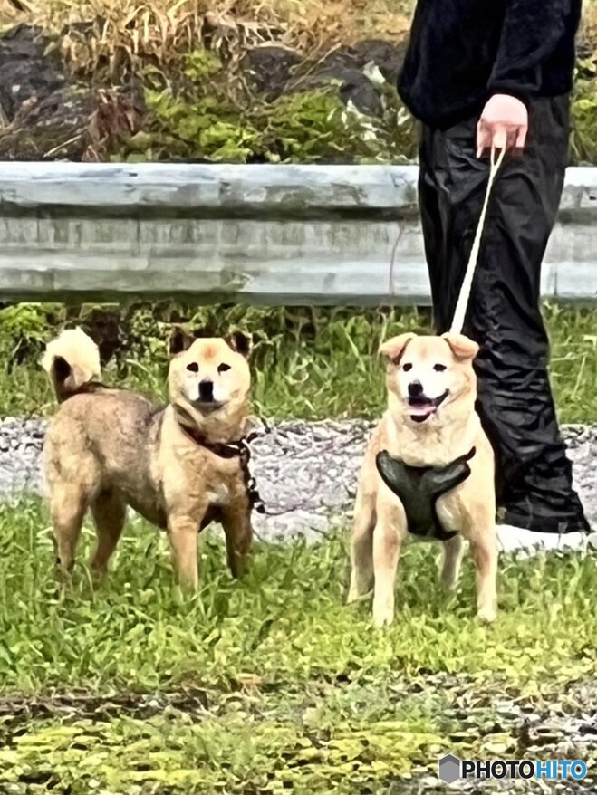 また来るね（＾＾。