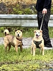 また来るね（＾＾。