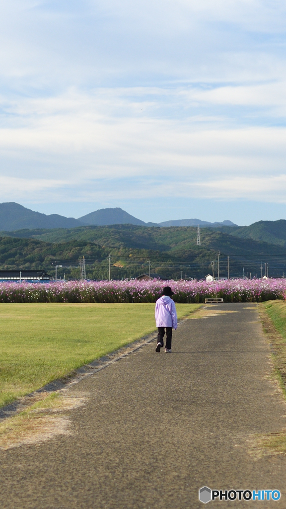 朝の散歩2