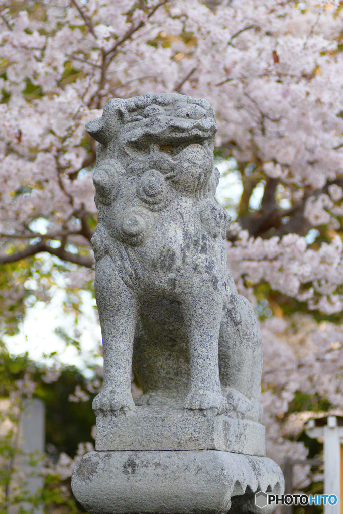 足切神社の狛犬