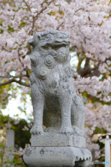 足切神社の狛犬
