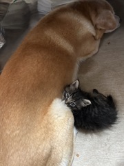 家族の日常