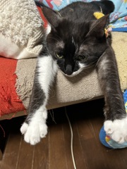 飛んでる気分(=^。^=)
