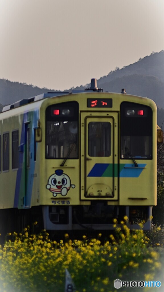 ちくまる君