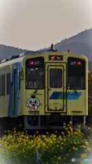 ちくまる君
