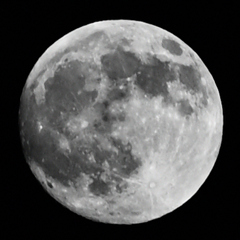 今日は十五夜（中秋の名月）