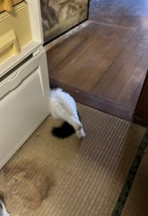 家族の日常