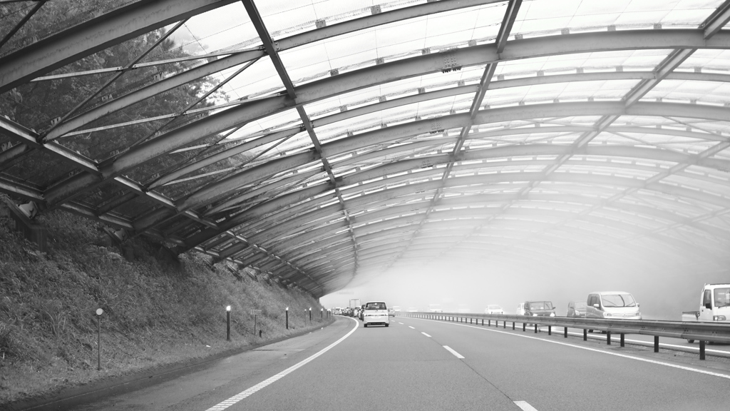 霧で渋滞