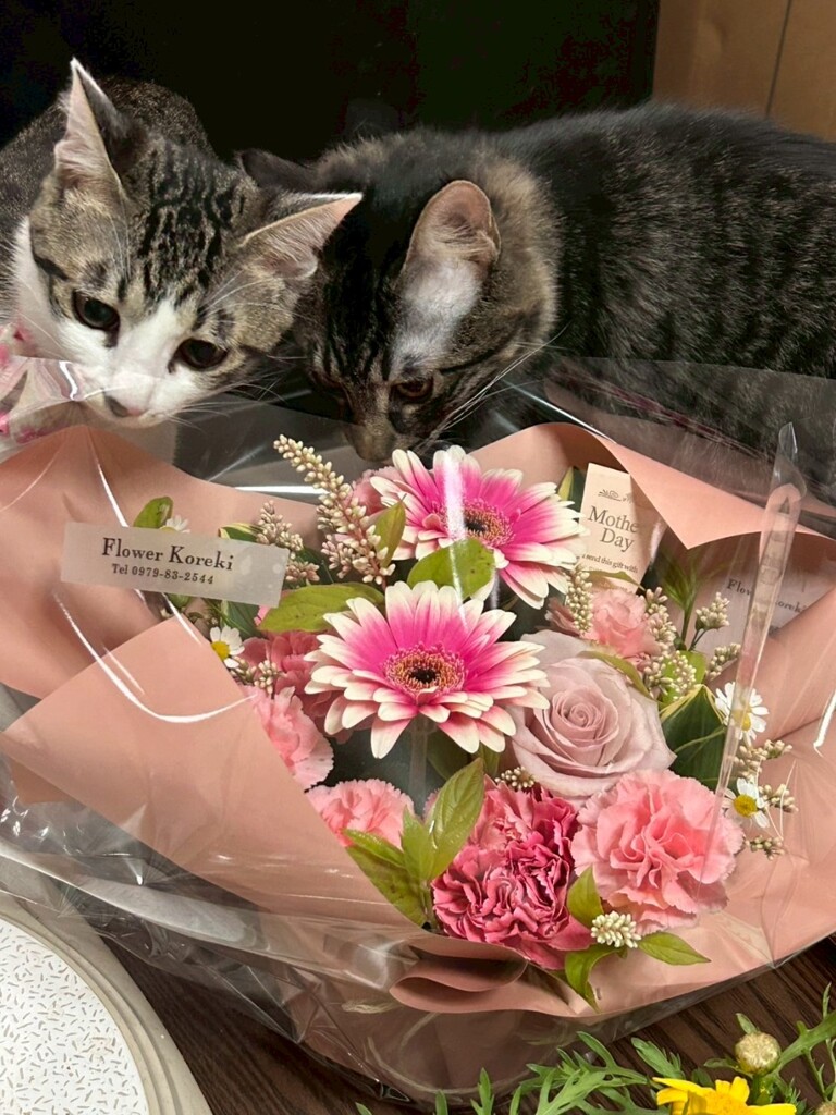 母の日