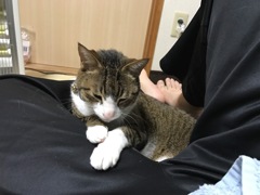 2年前天国いきました。20歳