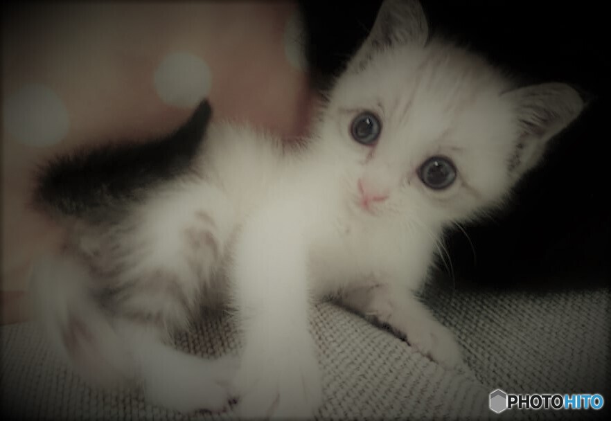 里親見つかった！！