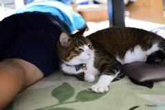 まったり