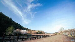 合河散歩