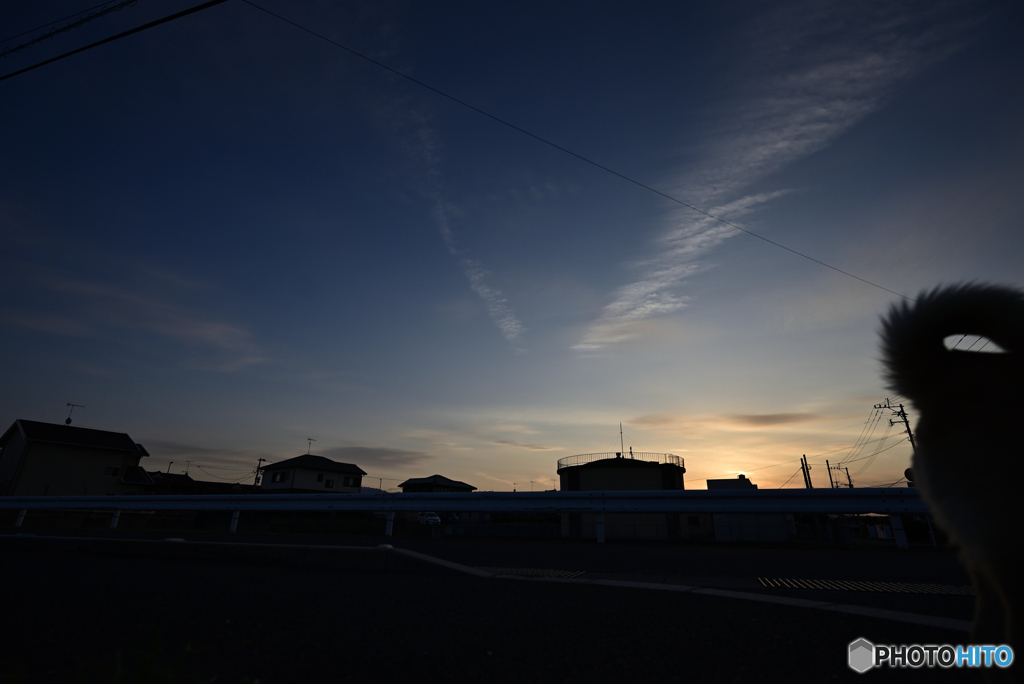 夕暮れ散歩