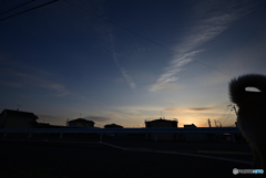 夕暮れ散歩