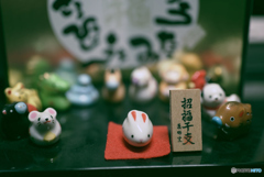 今年は飛躍の卯年（＾＾。