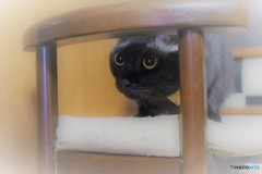 ゆずちゃん