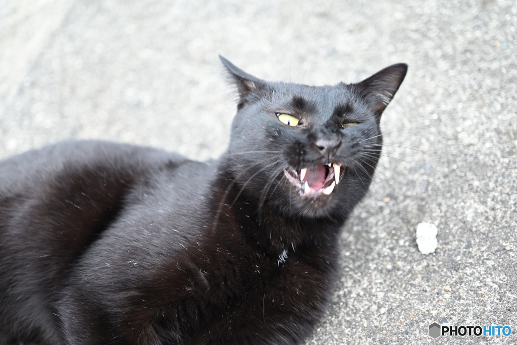 こわ（＾＾。