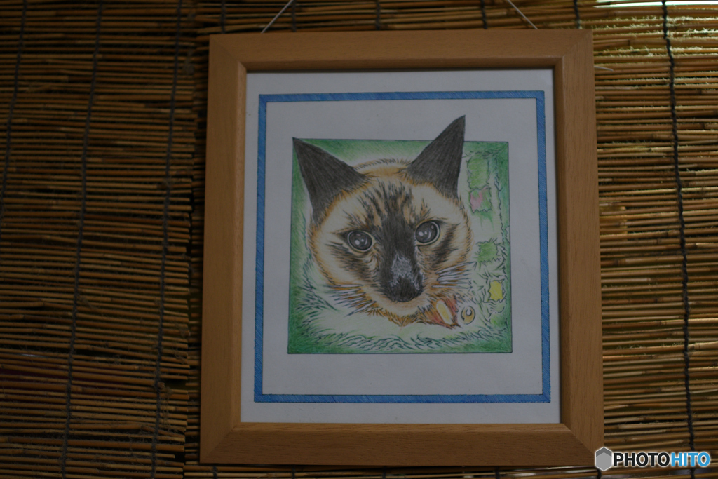 描いてもらった1（＝＾＾＝）。