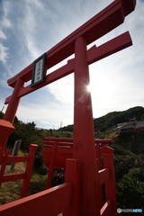 面白いとこ