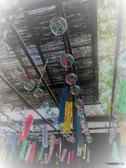 お願いします。風鈴さん
