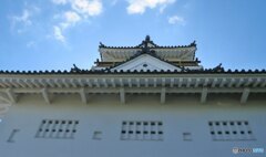 振り返る8（＾＾。