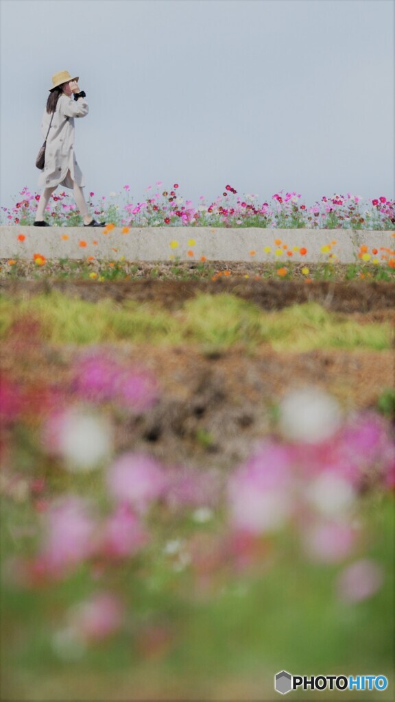 今日は風強し
