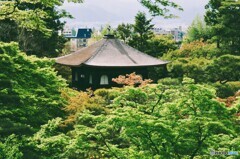 懐かしむ7（＾＾。