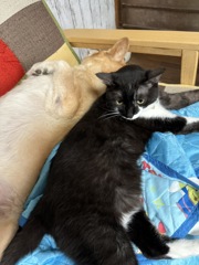 家族の日常