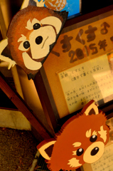 レッサーパンダ