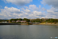 天地山公園