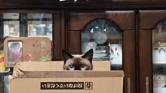 ルーちゃん　5.5㎏　また増えてる