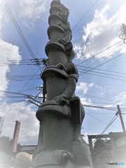 かえるさんが仰山