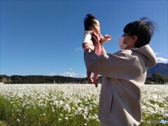 秋桜園