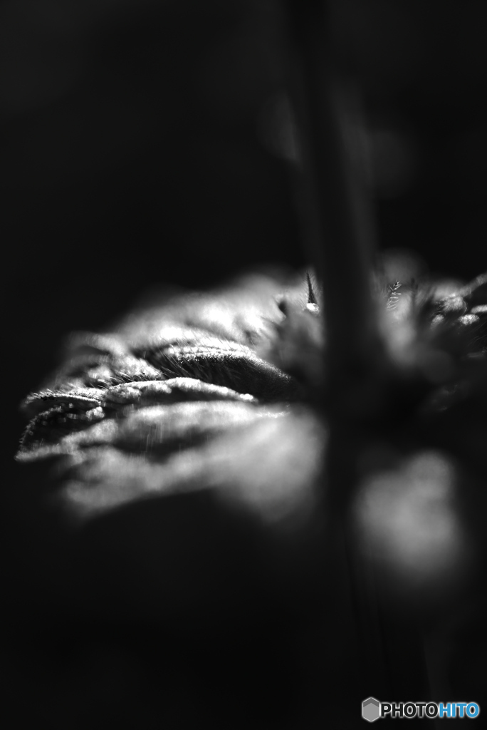 DSC_1050