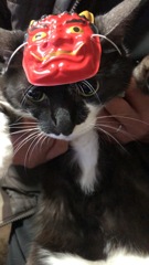 節分