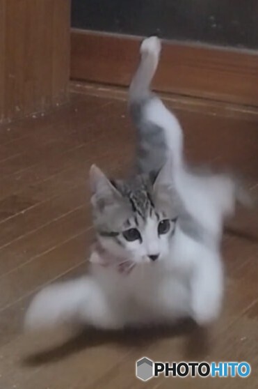 元気!!