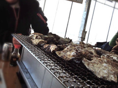 牡蠣　アワビ　サザエさん