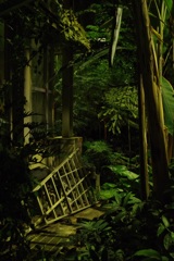 (夜の植物園)