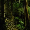 (夜の植物園)