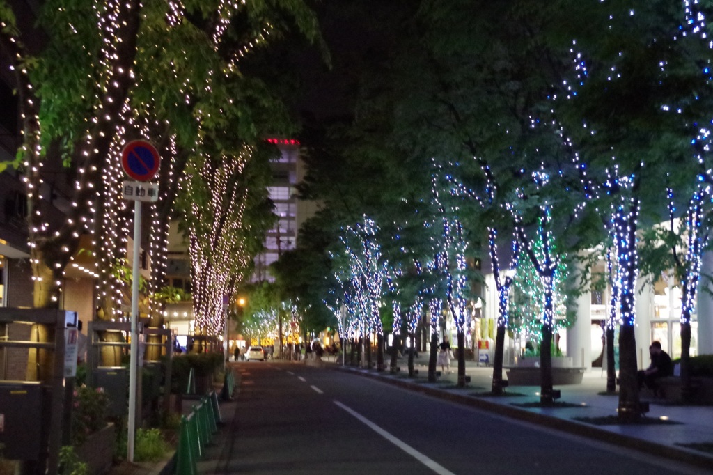 夜