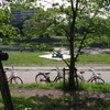 昼