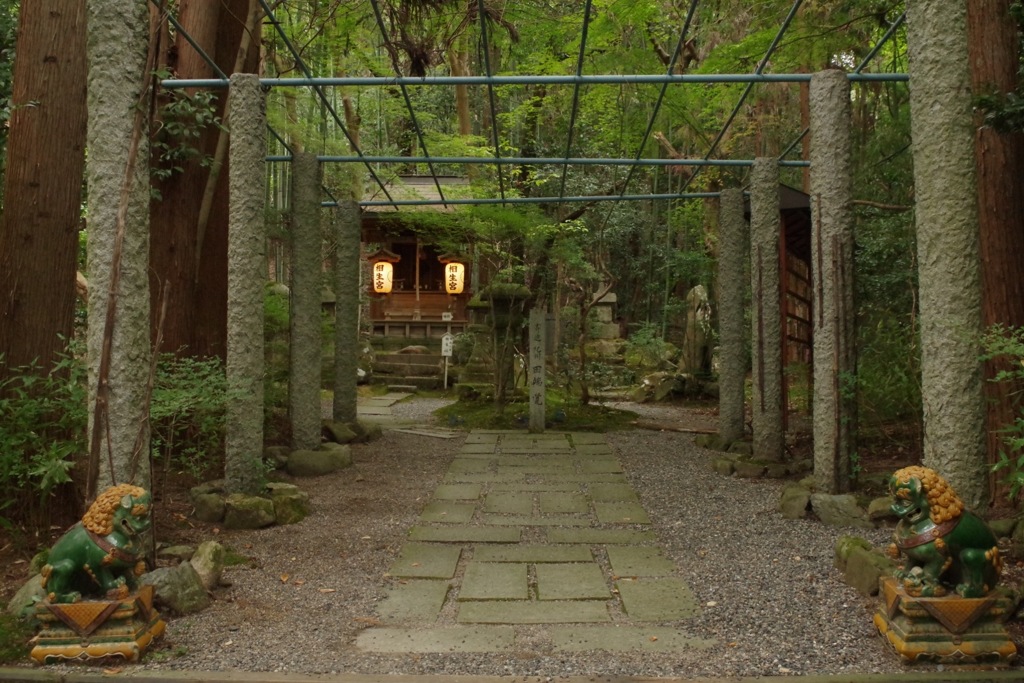 透明感