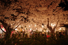 japanese hanami party
