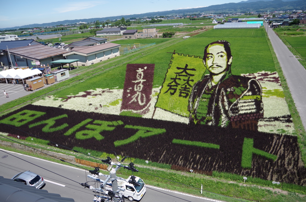 田舎館村の田んぼアート。