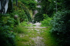 古き参道